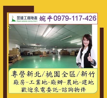 樹林廠房-0
