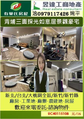 桃園大園大樓-0