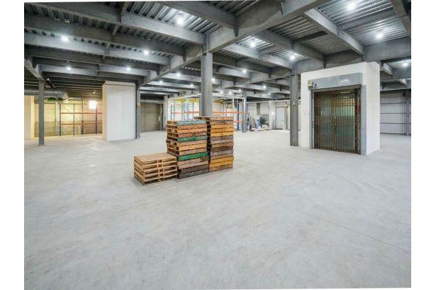 新北林口廠房-0