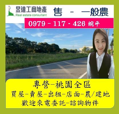 桃園農地-0