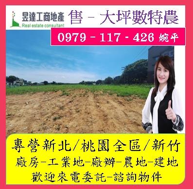 桃園農地-0